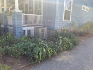 An outdoor air conditioning condenser unit installed next to a house by Elite Heating and Cooling in Livonia, MI.