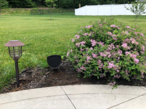 An outdoor landscape lighting fixture installed by EPOS Systems, Inc. in West Springfield, MA.