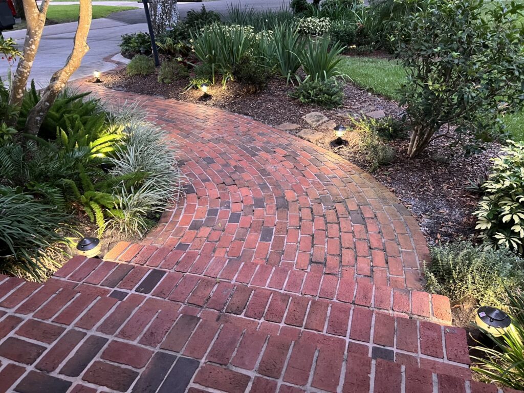 Beautiful outdoor landscape lighting illuminating a brick pathway, installed by T.E.C Electrical Contracting, LLC in Jacksonville, FL