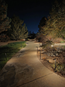 Outdoor landscape lighting illuminating a pathway installed by True Light Electric in Albuquerque, NM.