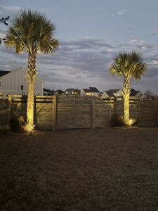 Outdoor lighting highlighting palm trees and a wooden fence at dusk, installed by Watts Up Electric LLC in Summerville, SC.