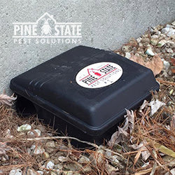 An outdoor pest bait station with the Pine State Pest Solutions logo, used for effective pest control in Auburn, ME.
