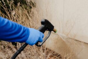 A gloved hand spraying pest control treatment onto outdoor bushes, performed by BAM Pest Control in Sandy, UT.