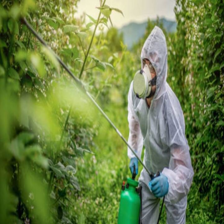 An outdoor pest control treatment being performed by a technician for TOTAL Exterminating Co. Inc. in Indianapolis, IN.
