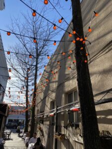 Decorative outdoor string lights illuminating a patio area, installed by New York Electrical Design in Freeport, NY