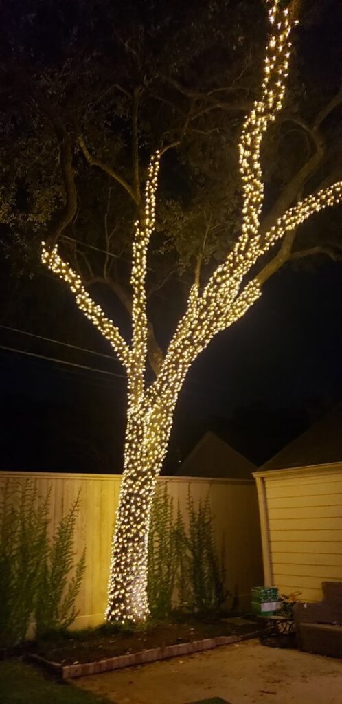 Outdoor decorative tree lighting installed by Big City Lighting and Electric in Houston, TX.