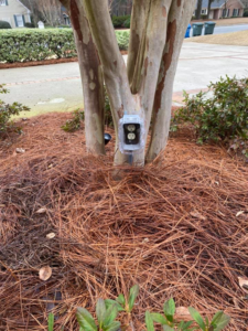 An outdoor weatherproof electrical outlet installed at the base of a tree by Pierce Electric, LLC in Fayetteville, NC