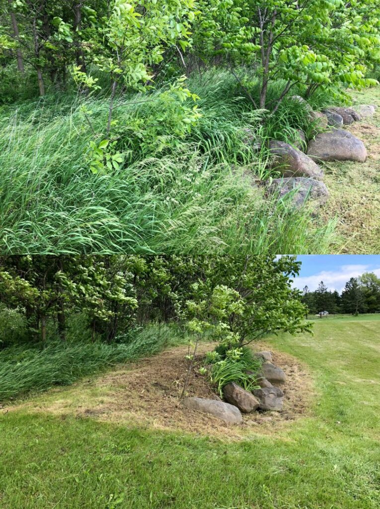 Before and after photos showing professional clearing of an overgrown area by Fili's Lawn Care LLC in Kenosha, WI.