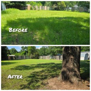 Before and after photos of an overgrown backyard receiving professional mowing and cleanup from Southern Rooted Lawns in Mobile, AL.