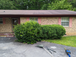 Overgrown bushes with pruning tools on the driveway, ready for trimming by EGreen Lawn Pros in Chattanooga, TN.