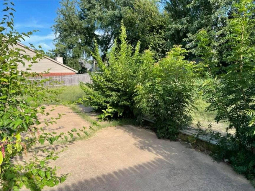 An overgrown area with dense bushes and weeds, indicating a 'before' state for a cleanup service by Lande Lawn Care in Broken Arrow, OK.