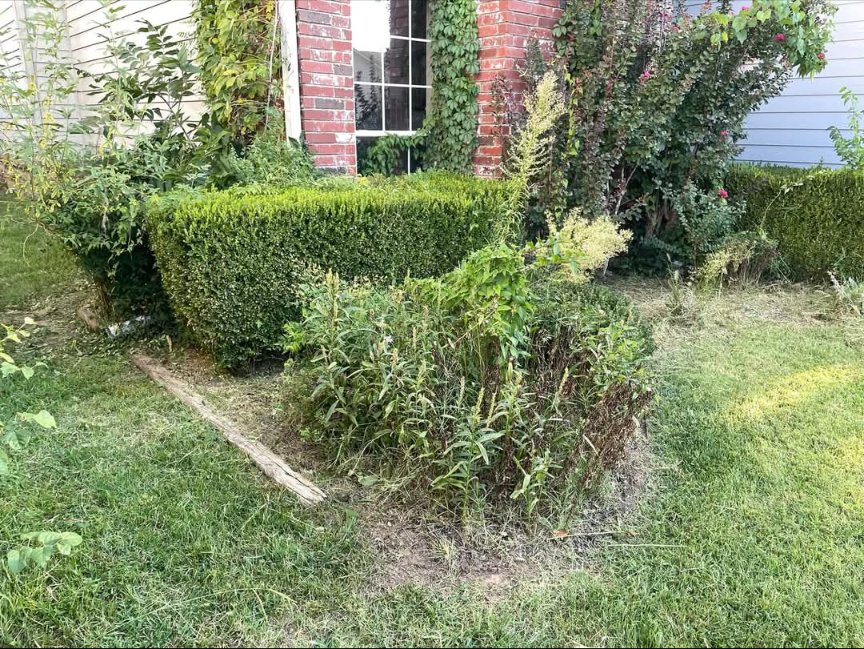 An overgrown flower bed with untrimmed bushes and weeds, illustrating a 'before' state for landscaping services from Lande Lawn Care in Broken Arrow, OK.