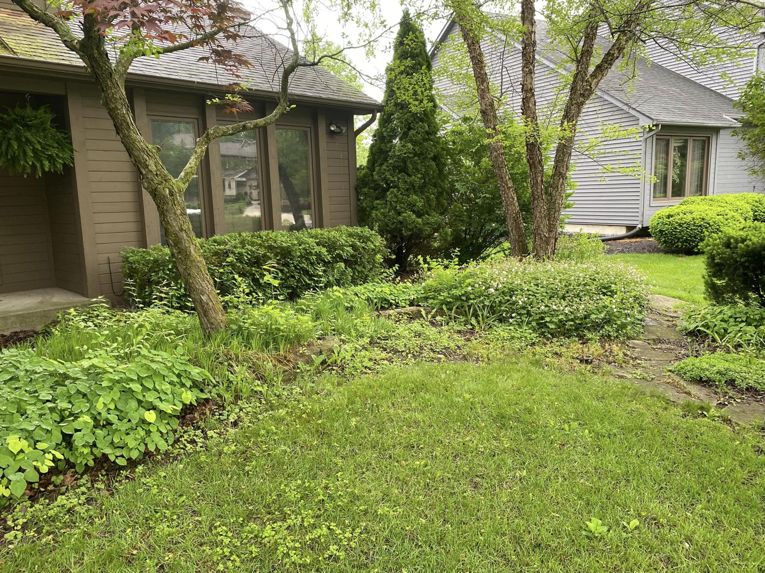 Overgrown garden bed before cleanup and mulching by Sonner And Sons Lawncare in Fort Wayne, IN.
