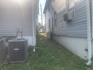 An overgrown narrow pathway between two houses, needing weed removal and lawn care from Elliott's Lawn Care & Landscaping in Lexington, KY.
