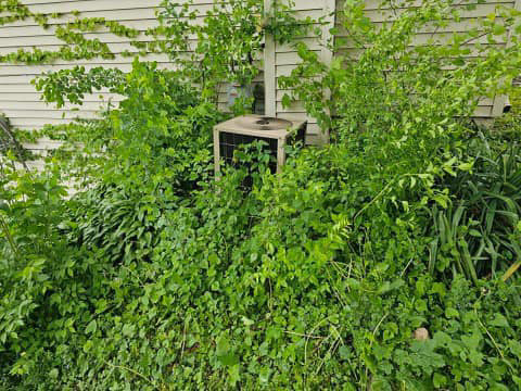 An outdoor air conditioning unit heavily overgrown with plants, indicating a need for HVAC service from Total Living Comfort in Irvington, AL.