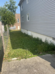An overgrown side yard filled with tall grass and weeds, awaiting care from Elliott's Lawn Care & Landscaping in Lexington, KY.