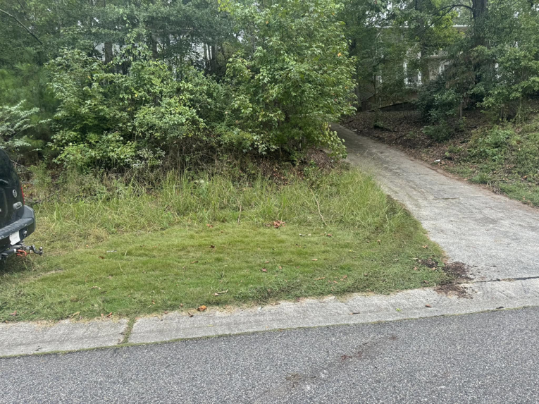 An overgrown yard needing professional lawn care services from D&L lawn care service in Hoover, AL