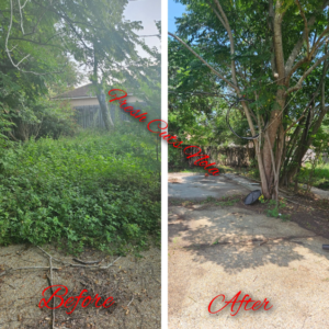 Before and after view of an overgrown yard clearing service by Fresh Cuts Nola Lawn Service in New Orleans, LA.