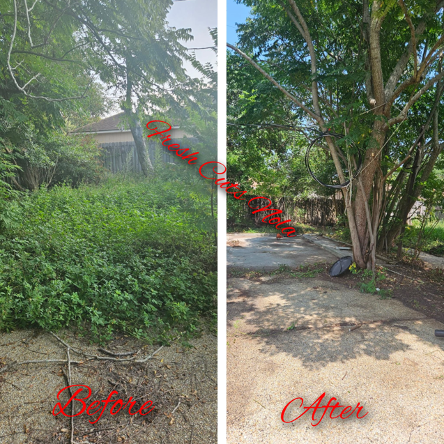 Before and after view of an overgrown yard clearing service by Fresh Cuts Nola Lawn Service in New Orleans, LA.