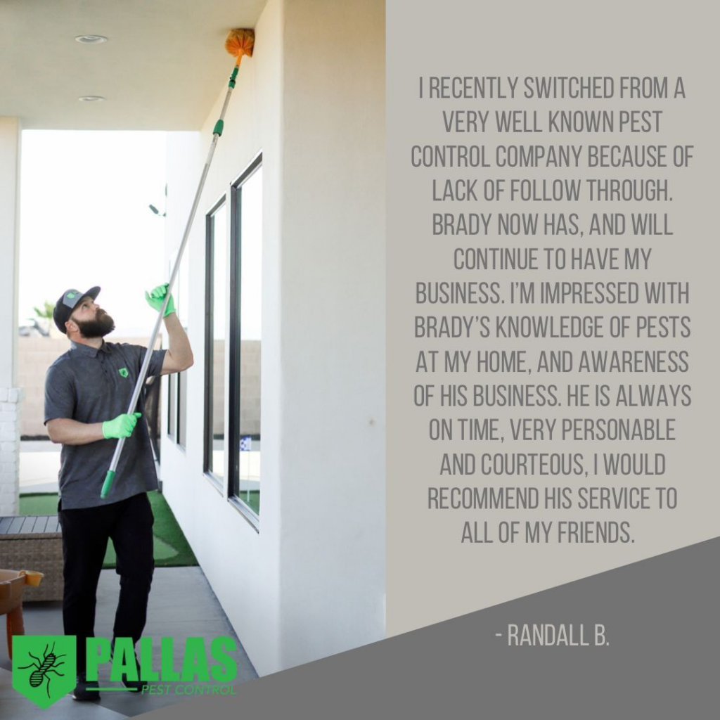 A Pallas Pest Control technician removing spider webs from a high ceiling at a property in Saint George, UT.