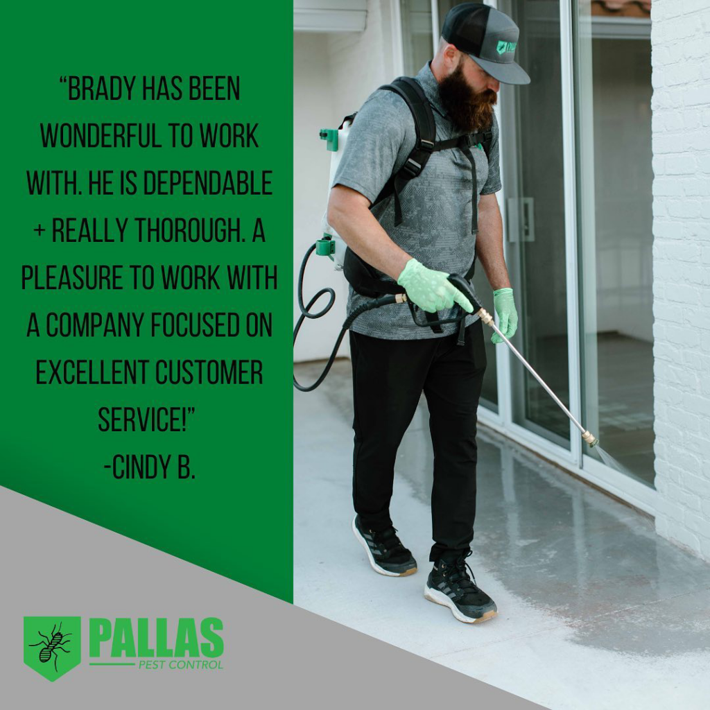 A Pallas Pest Control technician applying pest treatment to a patio area of a home in Saint George, UT.