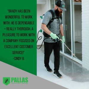 A Pallas Pest Control technician applying pest treatment to a patio area of a home in Saint George, UT.