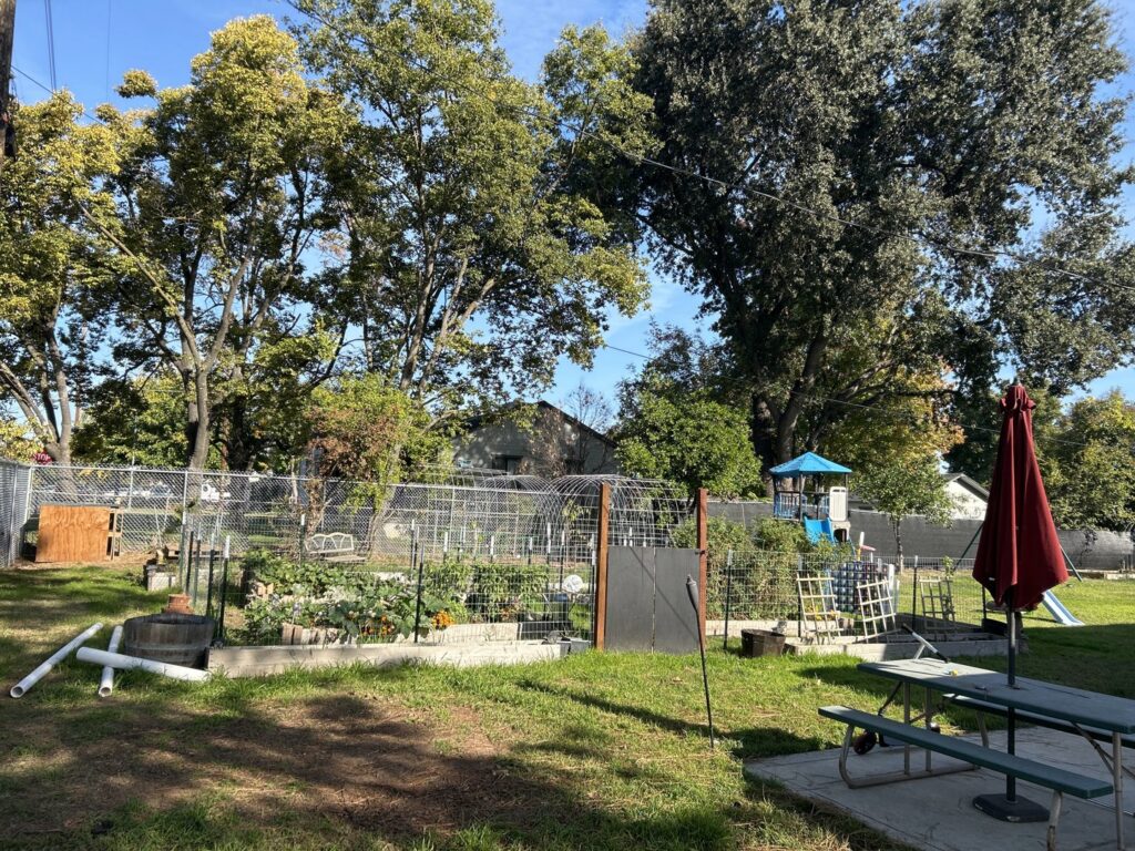 A residential garden area secured with a chain-link fence installed by Palmers Iron Fence in Sacramento, CA.