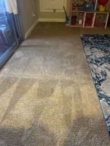 A partially cleaned carpet in a home, showing the effectiveness of Orozco's Janitorial Services LLC in Escondido, CA.