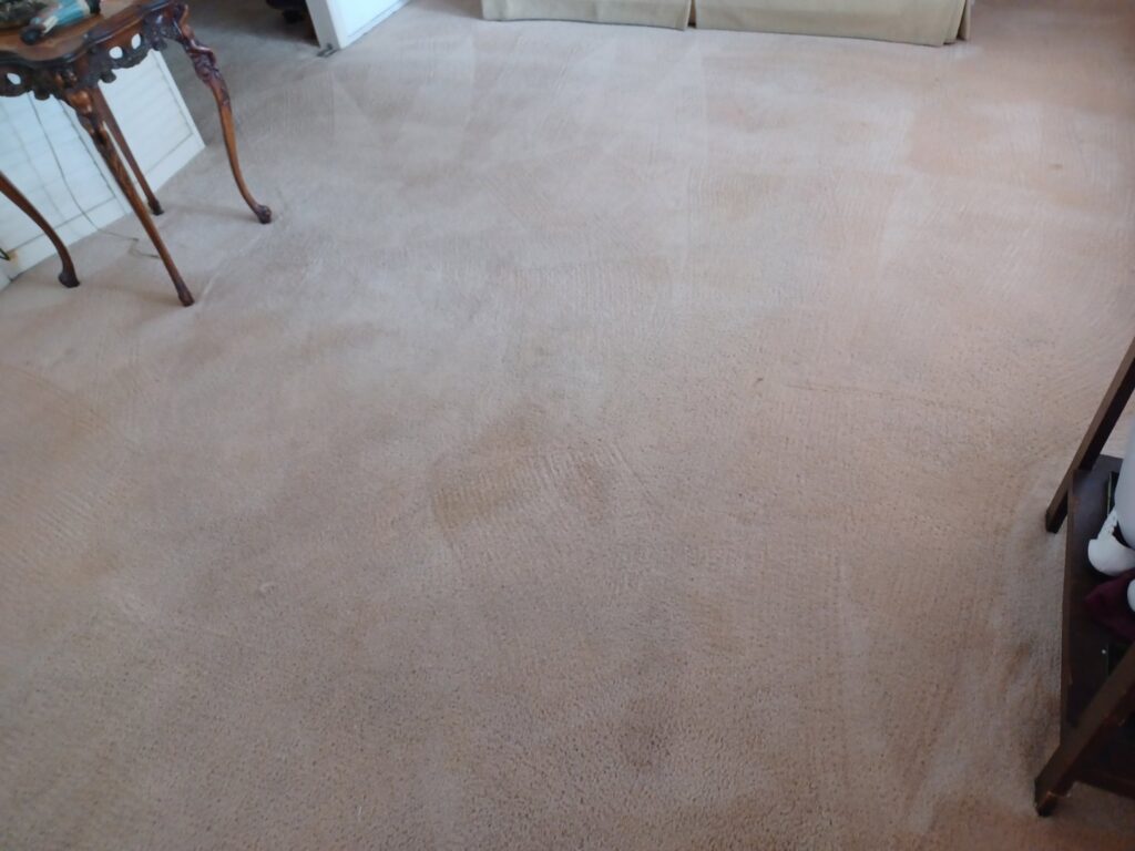 A carpet showing a clear contrast between cleaned and uncleaned areas, demonstrating the effectiveness of El Paso Carpet Care in El Paso, TX.