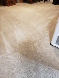 A partially cleaned carpet showing distinct clean stripes from Dr. Scrub Carpet Cleaning in Houston, TX