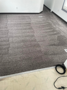 A partially cleaned grey carpet demonstrating the cleaning process by Nick's Carpet Cleaning in Snohomish, WA.