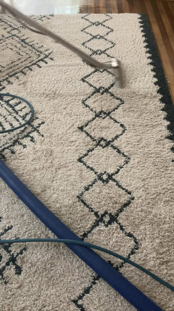 A professional cleaning a patterned area rug with a wand, showing a clean strip, by New Dawn's Carpet Cleaning in Cicero, IL.
