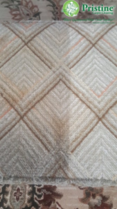 A patterned carpet showing a visible difference between dirty and cleaned sections by Pristine Carpet Cleaning in Denver, CO.