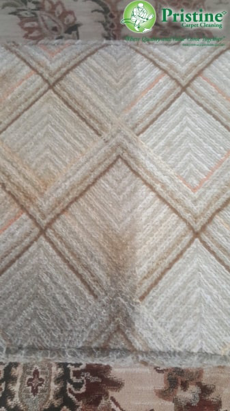 A patterned carpet showing a visible difference between dirty and cleaned sections by Pristine Carpet Cleaning in Denver, CO.