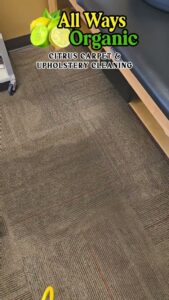 A patterned carpet showing pre-cleaning condition by All Ways Organic Citrus Carpet & Upholstery Cleaning in Wilmington, NC.