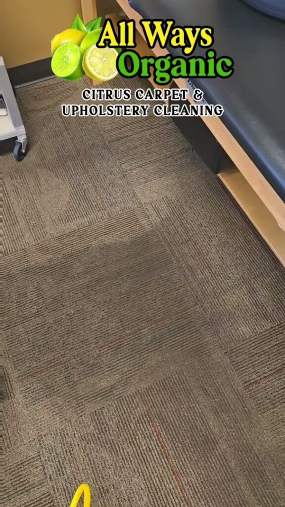 A patterned carpet showing pre-cleaning condition by All Ways Organic Citrus Carpet & Upholstery Cleaning in Wilmington, NC.