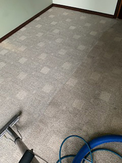 A patterned carpet being cleaned, showing clean and uncleaned areas, by Carpet Cleaning Pros LLC in Eau Claire, WI.