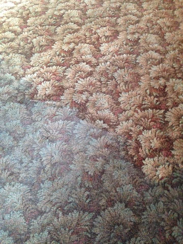 A patterned carpet showing a before and after cleaning section by Capital City Cleaning & Restoration in Columbia, SC