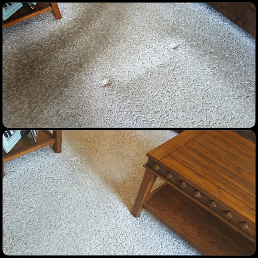 Before and after comparison of a patterned carpet professionally cleaned by Troy West Carpet Cleaning in Morristown, VT.