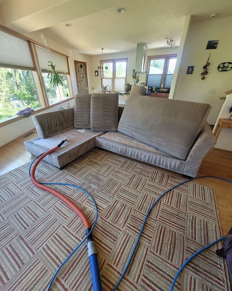 Carpet cleaning equipment on a patterned carpet during a service by PDX STAR in Happy Valley, OR