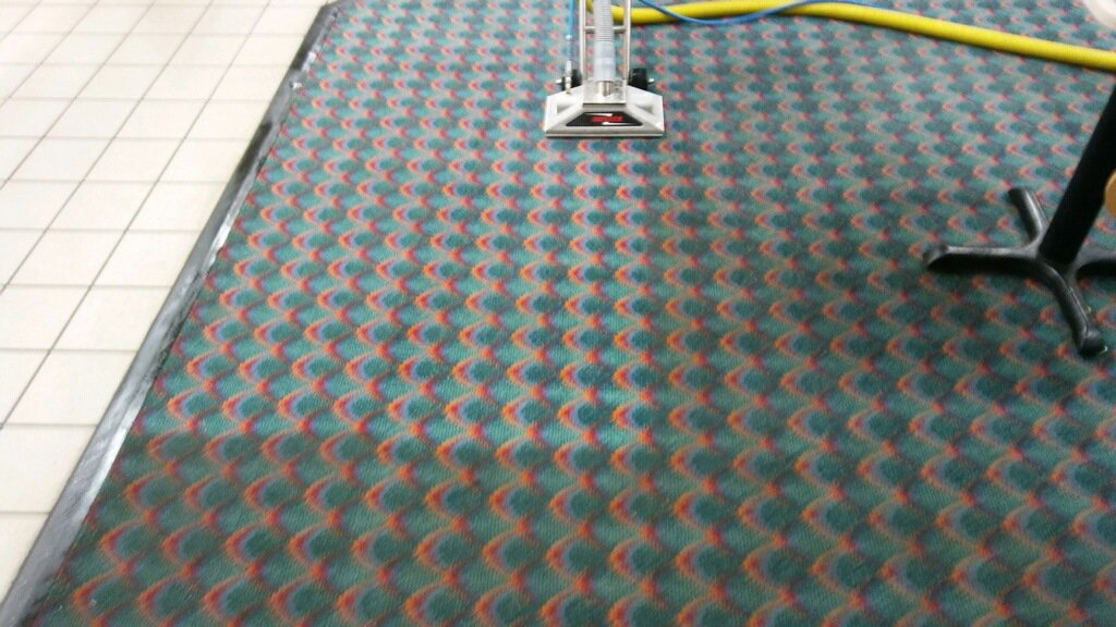 A patterned carpet being cleaned, showing a clean strip next to a dirty section by Bee Clean Carpet Steam Cleaning in Dover, DE.