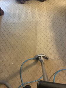 A patterned carpet being cleaned, showing a clear before-and-after section by TCK Carpet Cleaning in Indianapolis, IN.