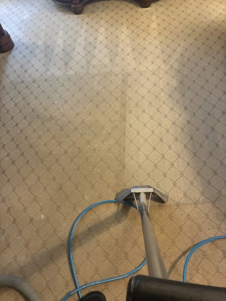 A patterned carpet being cleaned, showing a clear before-and-after section by TCK Carpet Cleaning in Indianapolis, IN.