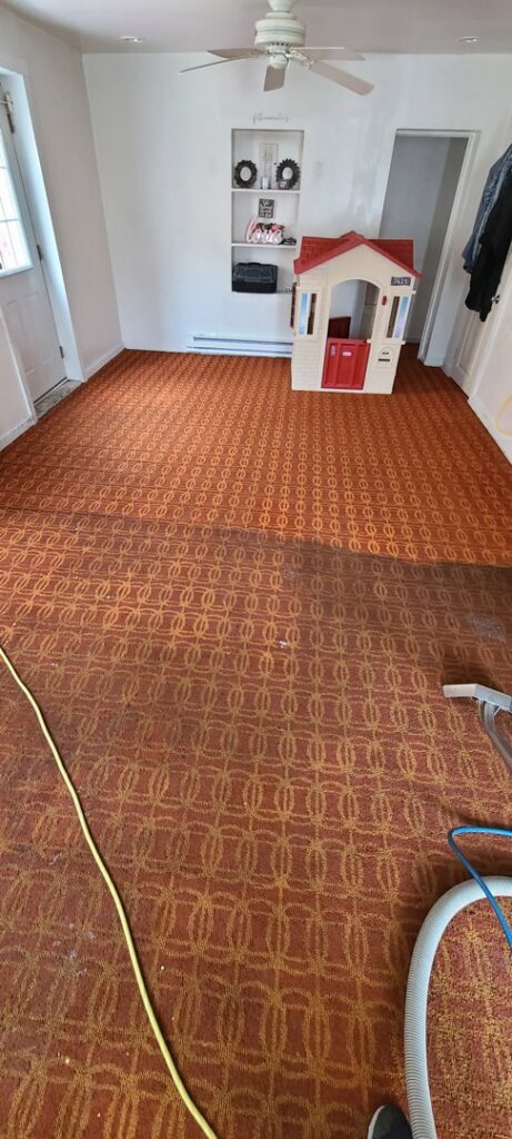 A patterned carpet showing a clear division between cleaned and uncleaned sections, highlighting the effectiveness of Steam Choice Carpet Care Inc in Chicago, IL.