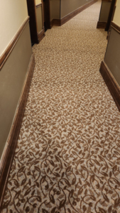 A hallway featuring a newly installed patterned carpet by A Floor For You, a carpet contractor in Denver, CO.