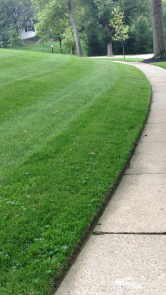 A perfectly edged lawn alongside a concrete sidewalk, showcasing professional lawn care by Brothers Lawn Care LLC in Florence, KY.