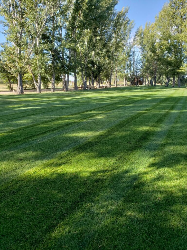 A large, perfectly mowed lawn with clean stripes, showcasing work by Aaron's Lawn Service in Pittsburg, KS.