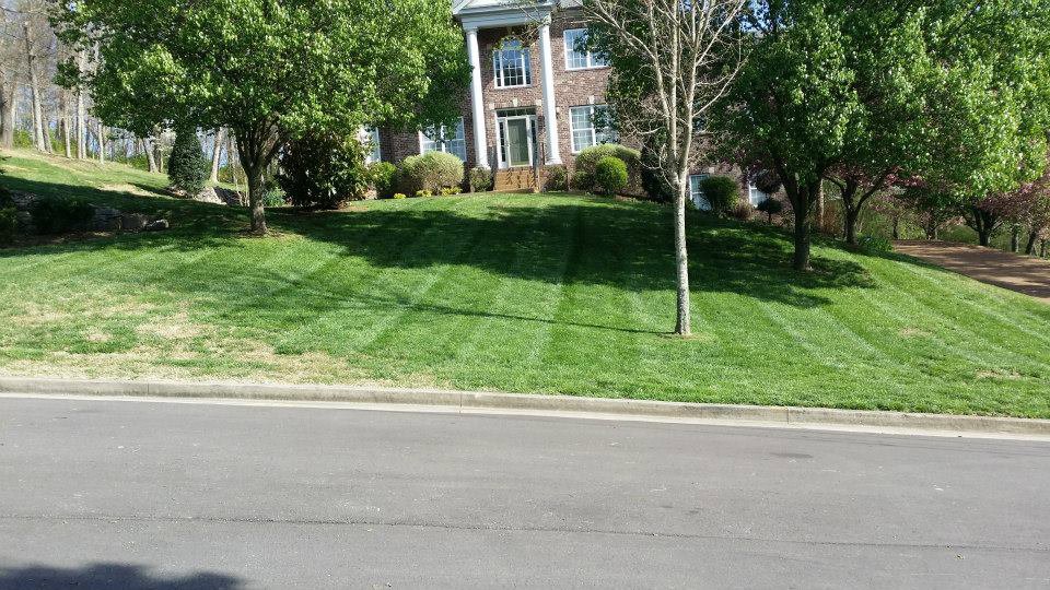 A perfectly mowed residential lawn with distinct stripes, showcasing King Lawn Care's work in Alexandria, VA.