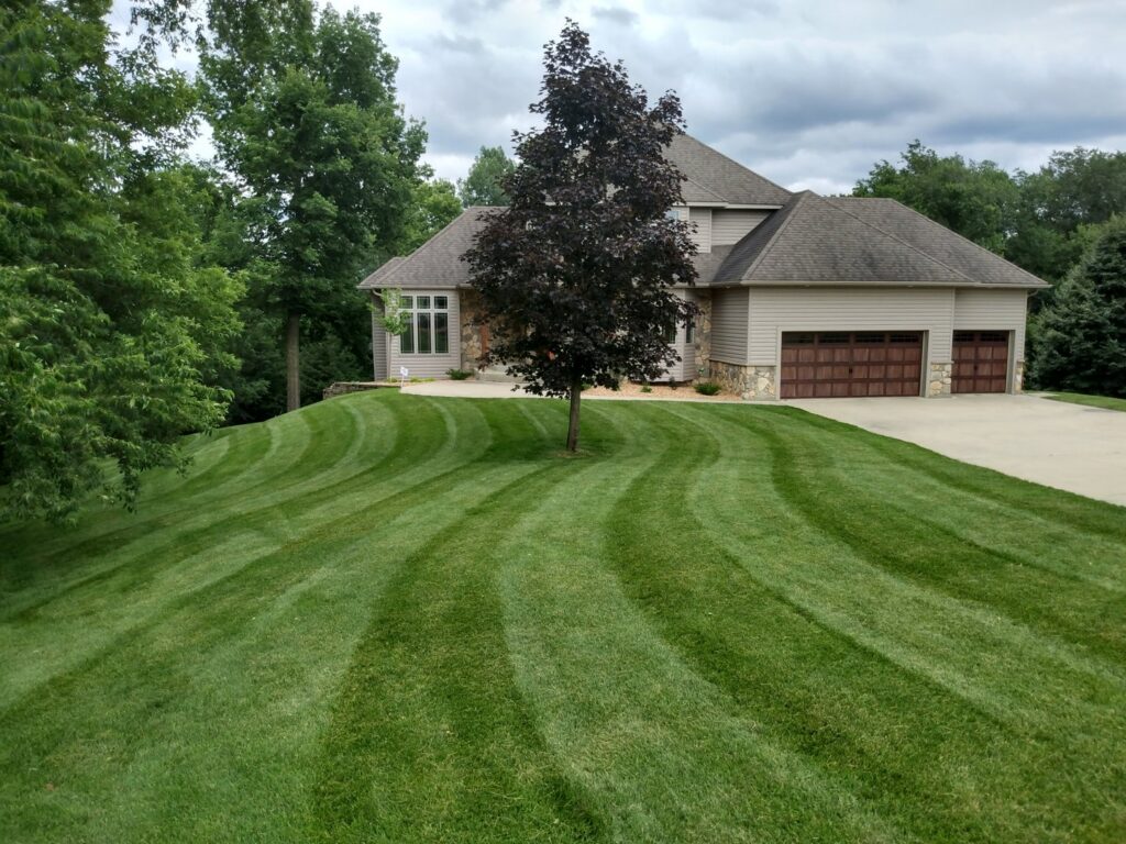 A beautifully mowed and striped front lawn of a large home, showcasing quality work by Three Boys Lawncare in Rochester, MN.