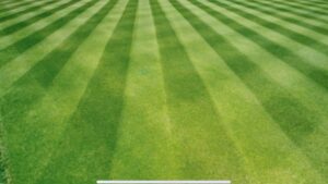 A perfectly striped and well-maintained green lawn, showcasing professional results from Grassology Lawn Care in Montgomery, AL